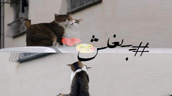 هرچی از عشق یه خونه ساختیم با صدای زن
